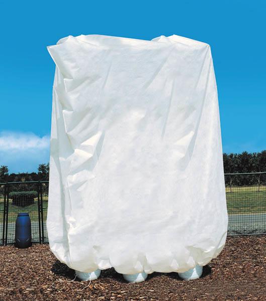 Actual product image Bio Green Jumbo