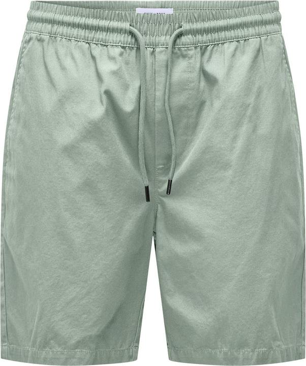 Only & Sons ONSTEL Normal geschnitten Shorts Shorts