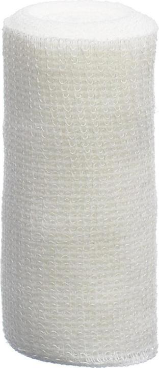 Actual product image Lohmann & Rauscher Mollelast bandage