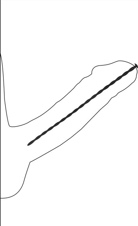 Actual product image Ouch! Silicone Spiral Screw Plug Set - Beginner Urethral Sounding