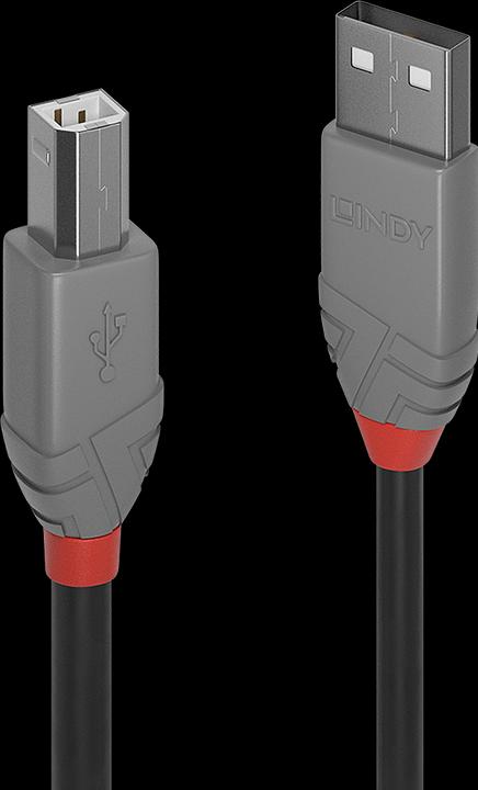 Lindy USB/A-USB/B M-M (2 m, USB 2.0)
