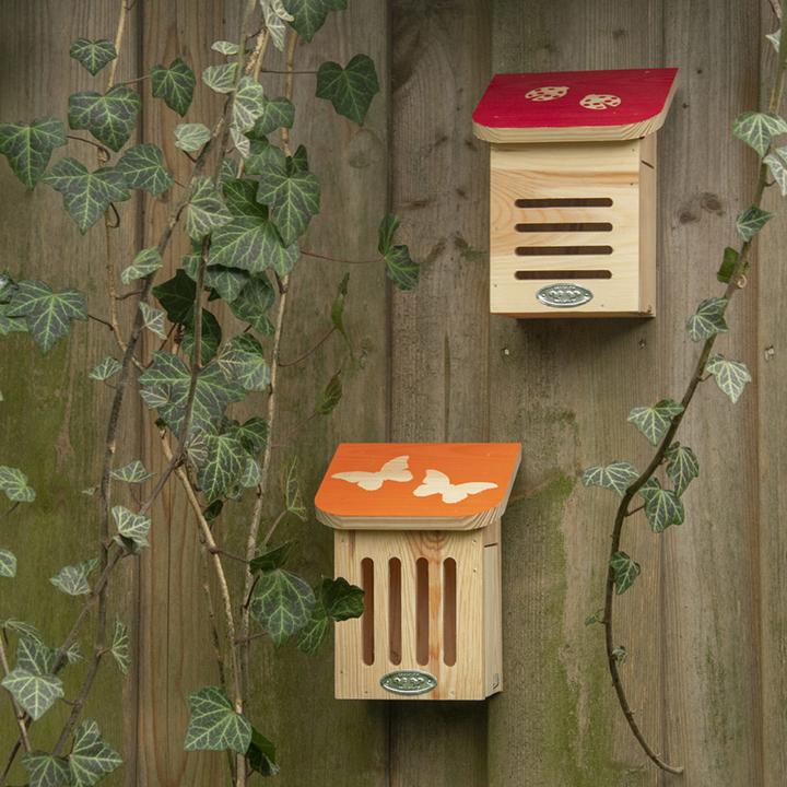 Actual product image Esschert Design Ladybird house (Ladybirds)