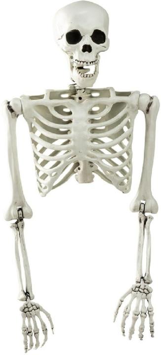 Image du produit Dekomat Figurine d'Halloween Squelette Torse 1 pièce