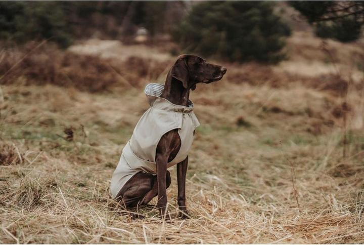 Immagine prodotto Hunter Milford (60, Cappotto per cani)