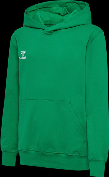Actual product image hummel HMLGO 2.0 HOODIE KIDS (164)