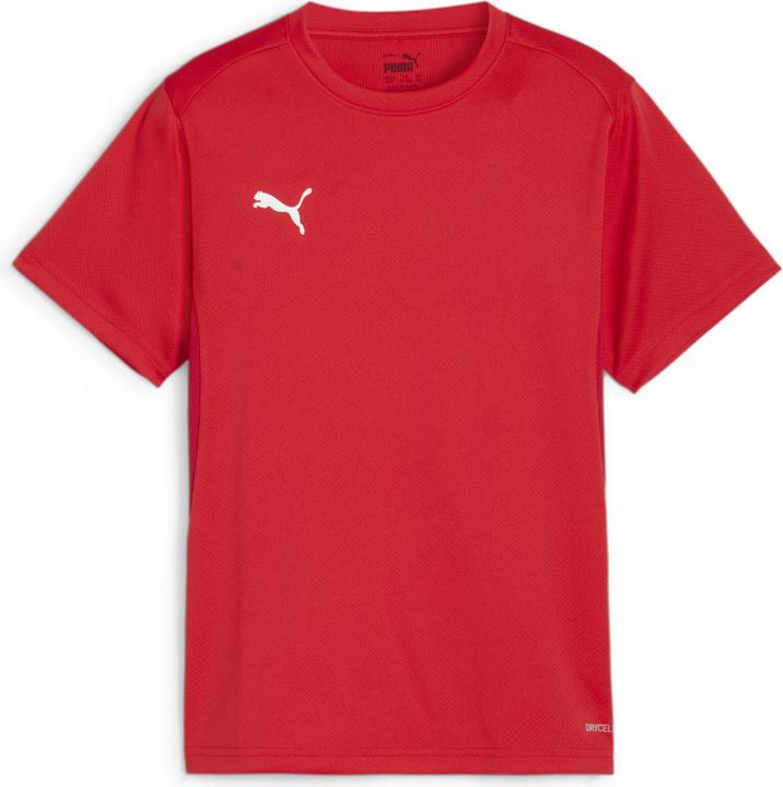 Immagine prodotto Puma Maglia TeamGOAL Jr (164)