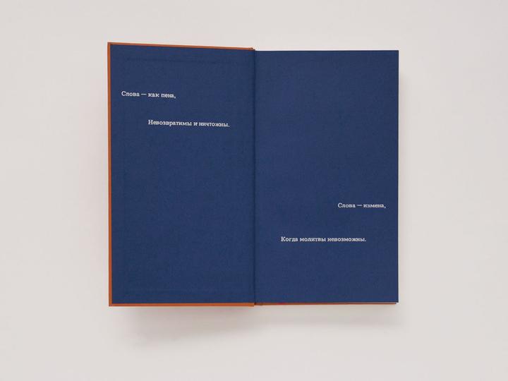 Produktbild Petersburger Tagebücher 1914-1919 (Deutsch, Sinaida Hippius, 2014)