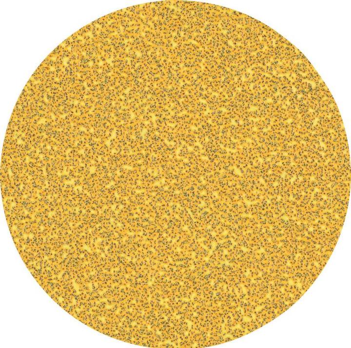 Actual product image Bosch Professional Zubehör Expert C470 Abrasive paper without holes for angle grinders and drills, 125 mm, G 60, 50 pcs. (60)