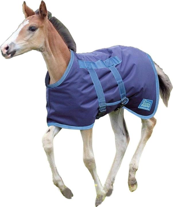 Immagine prodotto Shires Coperta da pascolo Tempest Original Foal (114 cm)