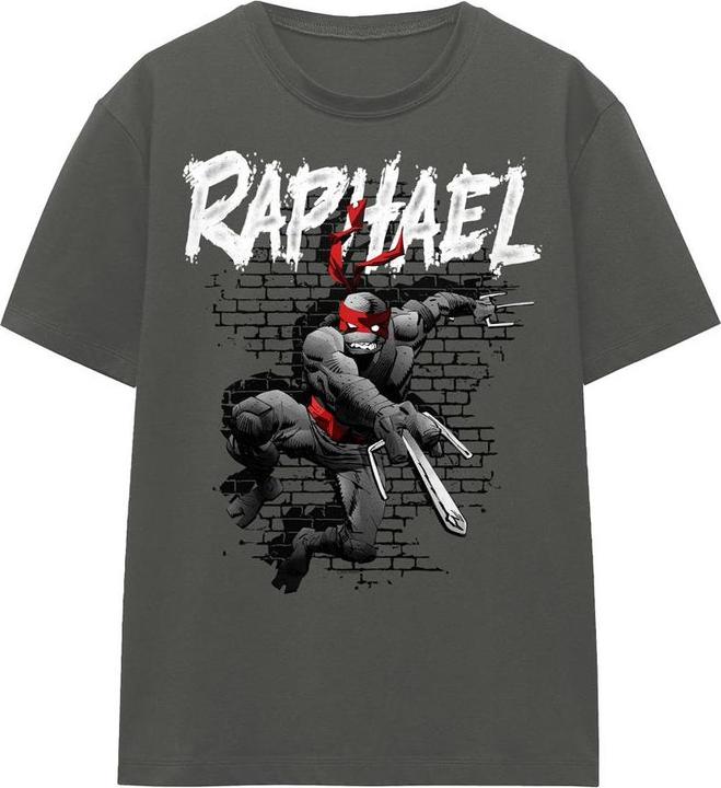 Produktbild Teenage Mutant NT TShirt (M)
