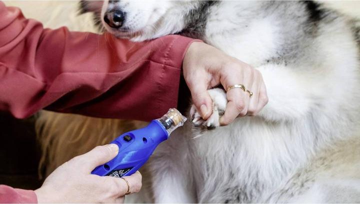 Immagine prodotto Dremel Cura degli artigli degli animali (Cane)