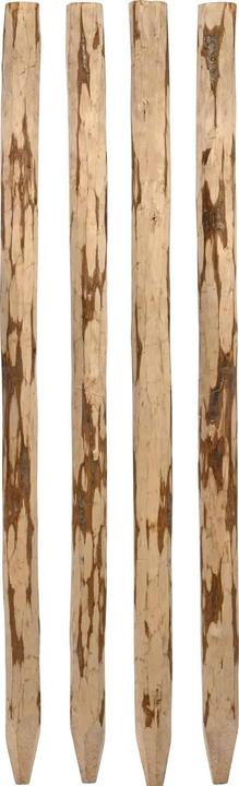 Immagine prodotto Dobar Paletti in legno per recinzioni a picchetto, set da 4