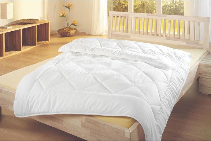 Produktbild Lipo Bamboo (1100 g, 160 x 210 cm)