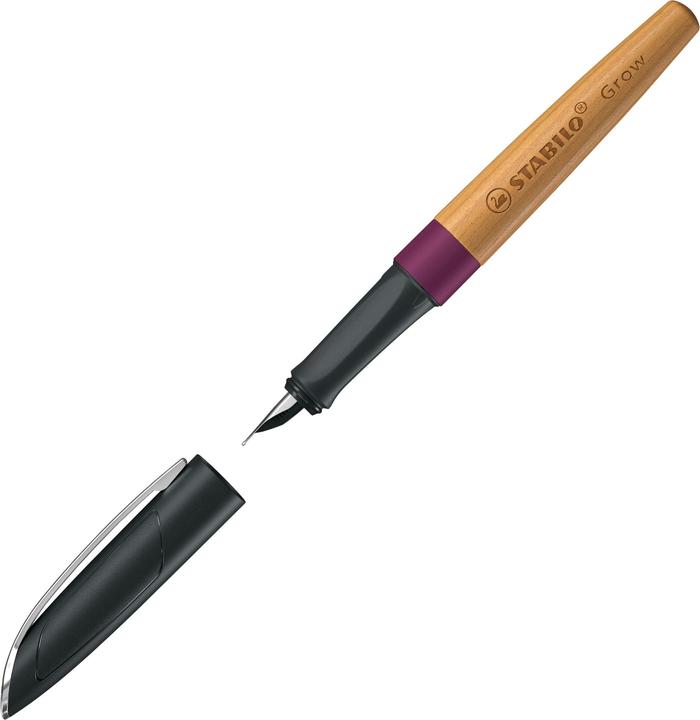 Immagine prodotto STABILO Penna stilografica Crescere (Prugna, Ciliegio, 1 x)