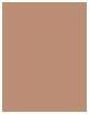 Image du produit Sisley Poudre - Phyto-Poudre Compacte ( N°4 Bronze ) (4 Bronze)