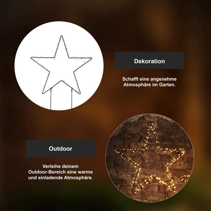 Actual product image Star Trading Barlumi