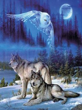 Immagine prodotto Pracht Diamond Painting 6037-40311 Lupi 25 x 35 cm