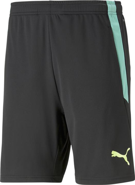 Puma teamLIGA Training Shorts 2 (open pockets)