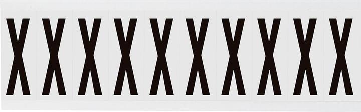 Actual product image Brady W225 Series labels with numbers and letters