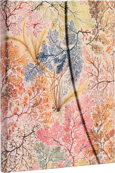 Immagine prodotto Paperblanks Notebook PB Ultra lin.Anemone (Righe, Copertina rigida)