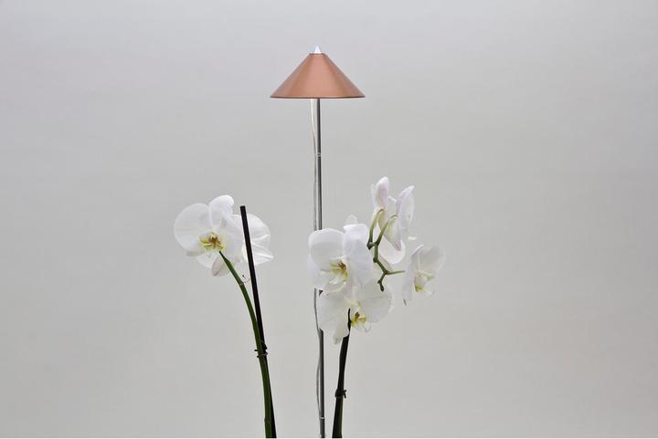 Actual product image Colibri Sunlite (LED, 230 V)