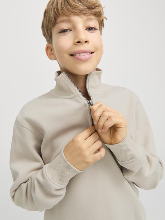 Actual product image Jack & Jones Jjebradley Sweat Half Zip Noos Jnr (176)