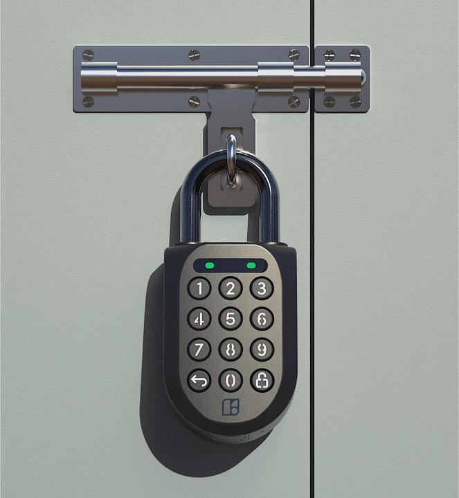 Actual product image Igloohome Padlock 2