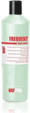 Produktbild Kay Pro KayPro Erfrischendes Minz Shampoo 350ml (350 ml)