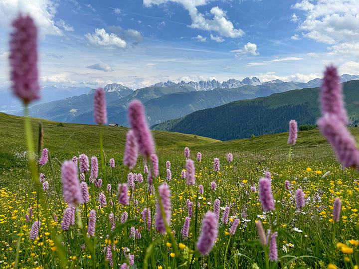 Image du produit Tirol 2026 (Couverture rigide, Allemand)