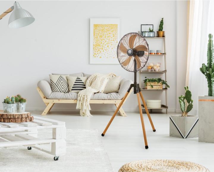 Immagine prodotto Domo Ventilatore