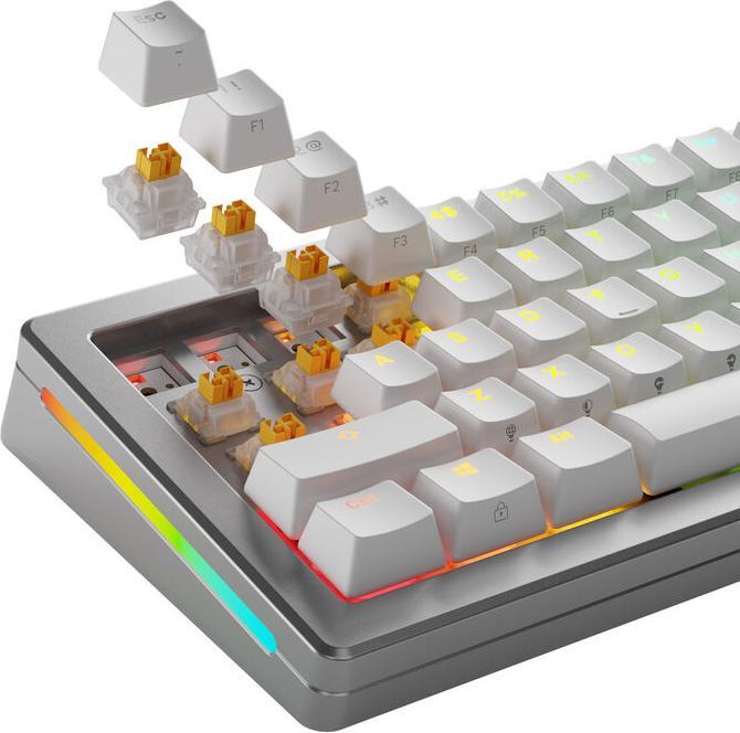 Actual product image Glorious HE Switches (36pcs) - Panda - Silent - (Tactile) 45g