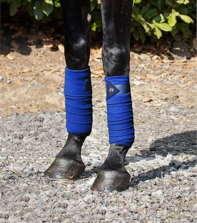 Immagine prodotto Premier Equine set di 4 bande da polo per cavalli