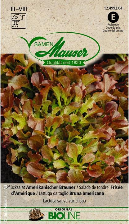 Actual product image Samen Mauser BIO Picking Lettuce American Brown (Vegetable seeds)