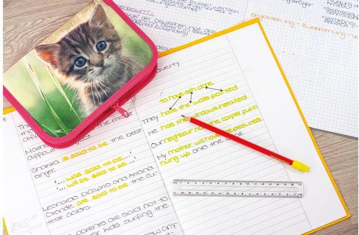 Immagine prodotto EberhardFaber Cassa cat 42 pezzi, Rosa