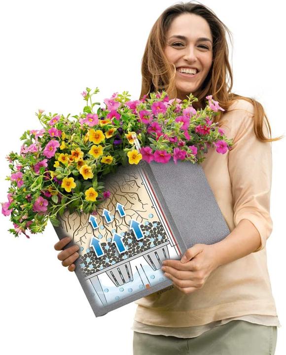 Actual product image Lechuza Canto (30 cm)