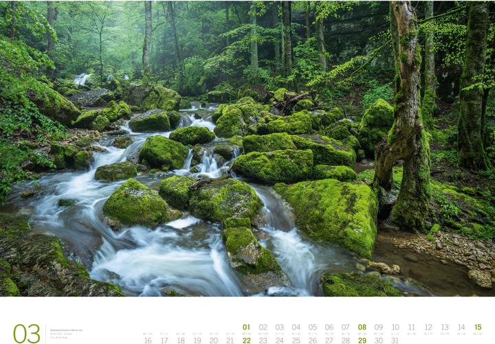 Produktbild Wald - Gallery Kalender 2026 (66 x 50 cm, Harter Einband, Englisch, Deutsch)