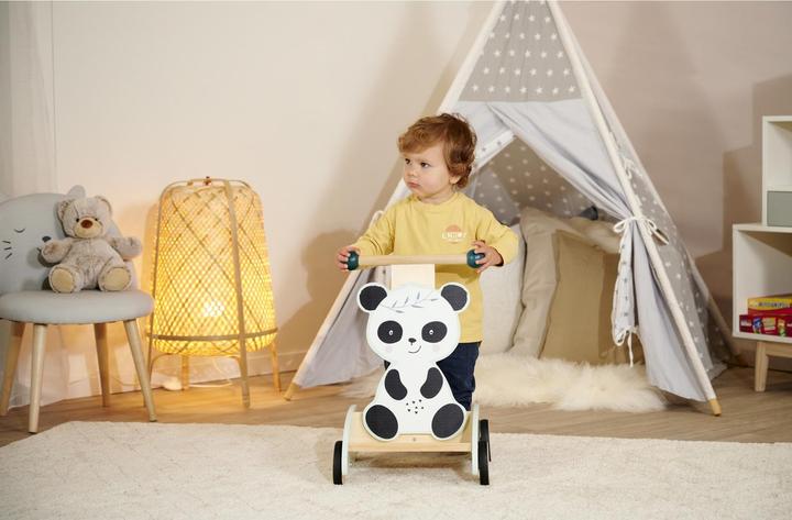 Actual product image Eichhorn EH Schiebe-Lauflernwagen