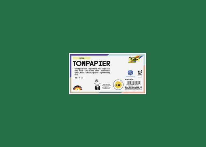 Actual product image Folia Drawing Paper 130 g 50x70 cm x25 Fir Green (1 x)
