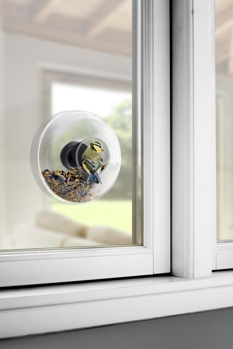 Actual product image Eva Solo Window feed ball