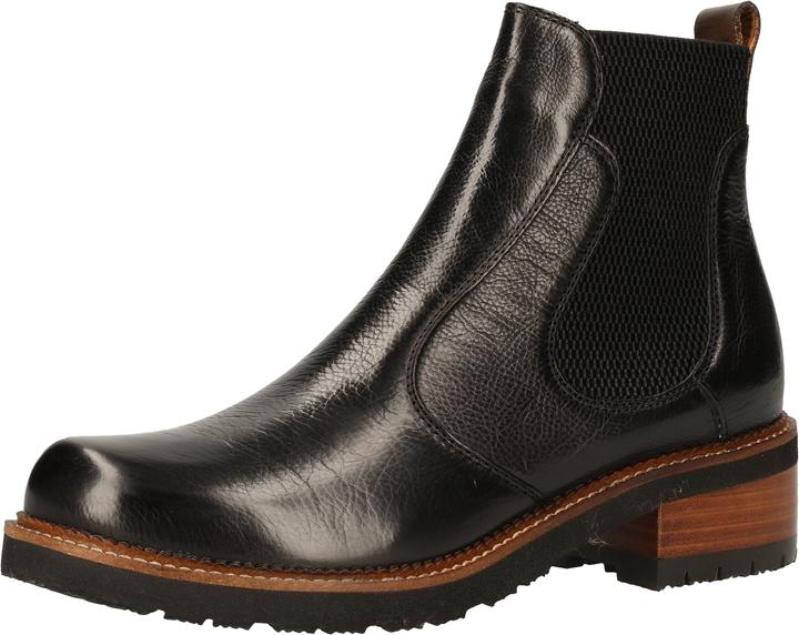 Ginger+Vegetale black+dattero 001390