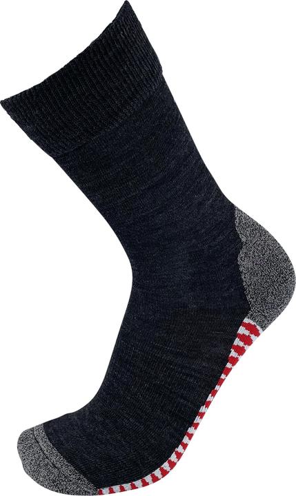 DRASSN Vohenstrauss Merino