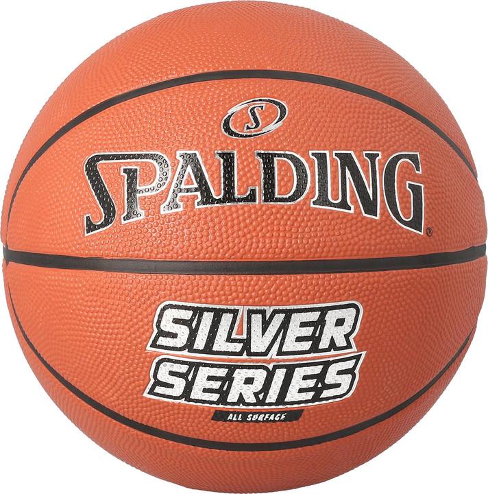Image du produit Spalding Silver Series