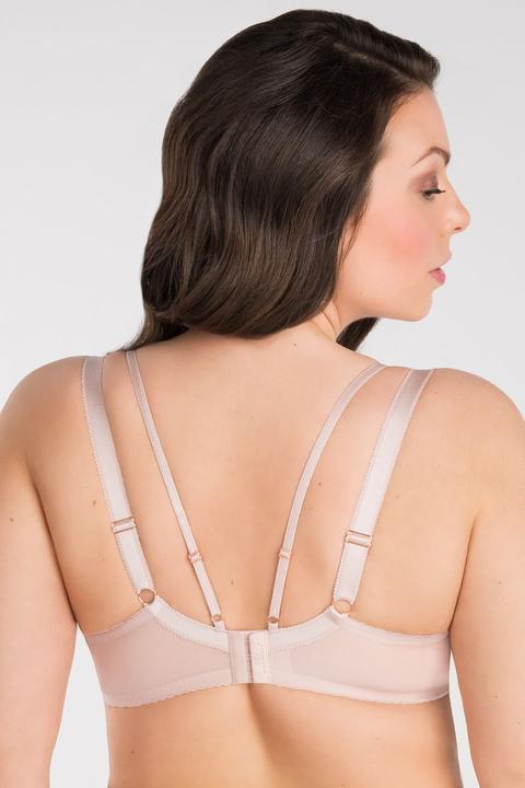 Image du produit Gorsenia Modèle souple (80 K)