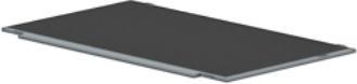 Actual product image HP Raw Panel 15 LED HD Sva Ag