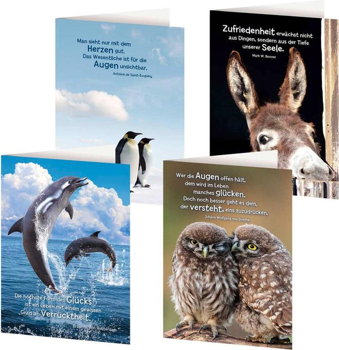 Actual product image 4er-Set Grusskarten »Tierische Weisheite (4 pcs.)