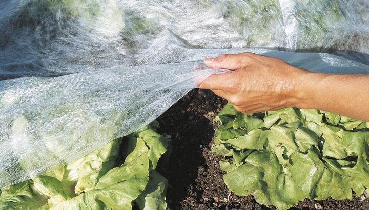 Actual product image Windhager Garden Fleece