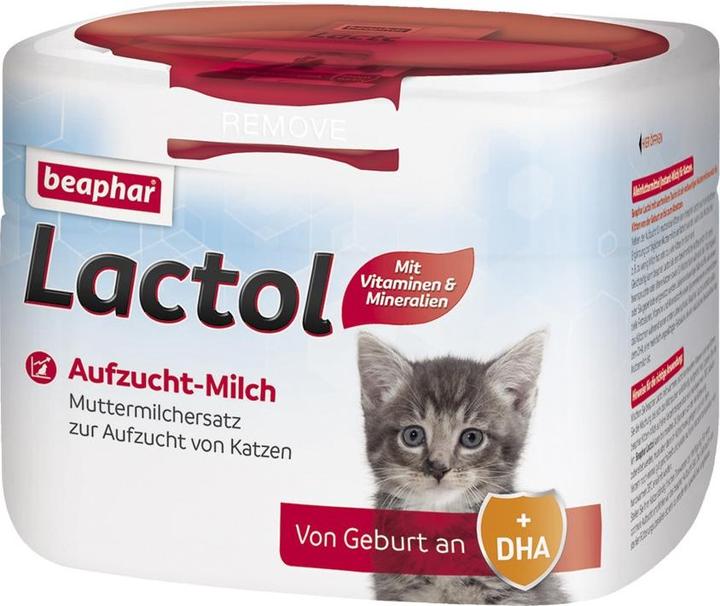 Cibo per gatti