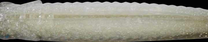 Actual product image Caperlan 338920 (10 cm)