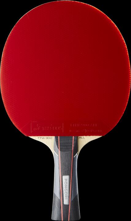 Image du produit Pongori TTR 900