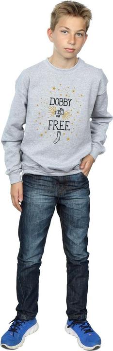 Actual product image Boys Dobby Is Free Sweatshirt (152, 158)